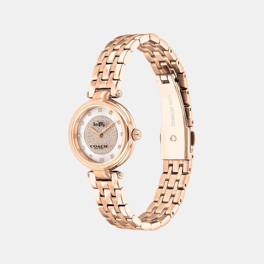 Coach Park Watch 14503736 - DIVA ONLINE STORE
