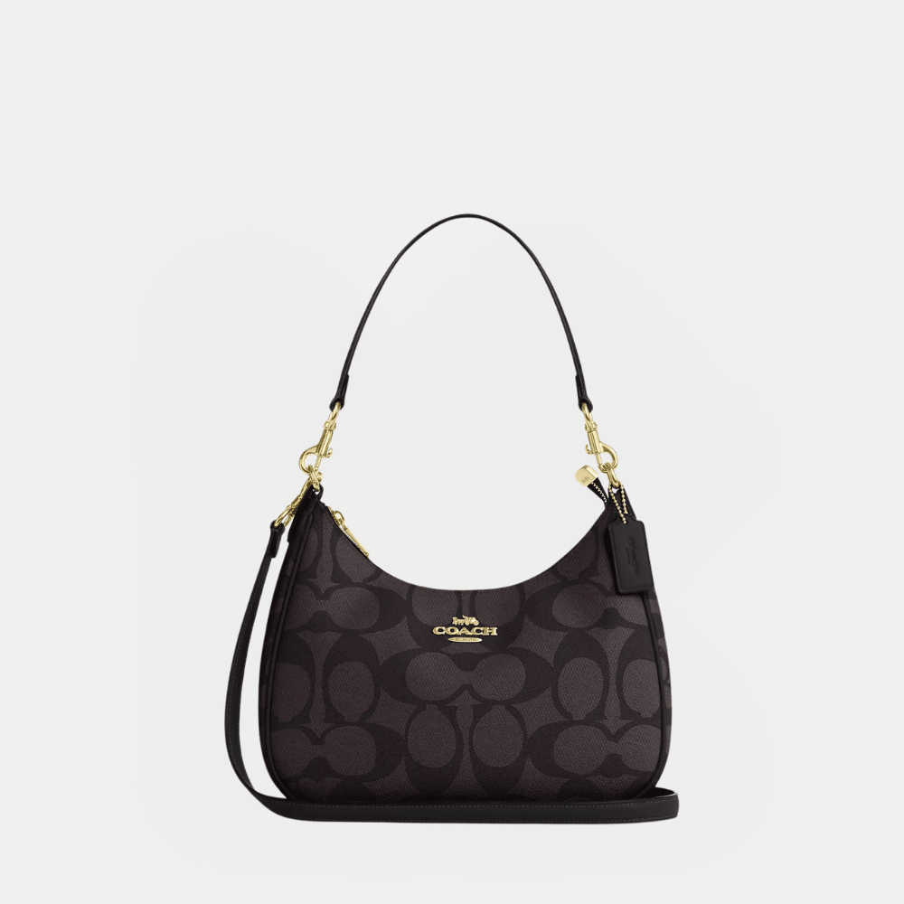 Coach Teri Hobo Bag In Blocked Signature Canvas - DIVA ONLINE STORE