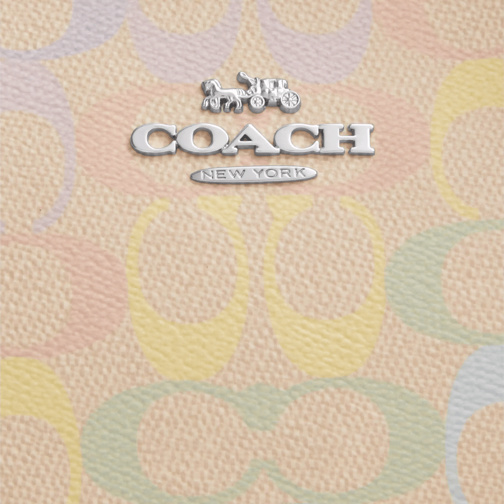 Coach Teri Shoulder Bag In Rainbow Signature Canvas - DIVA ONLINE STORE