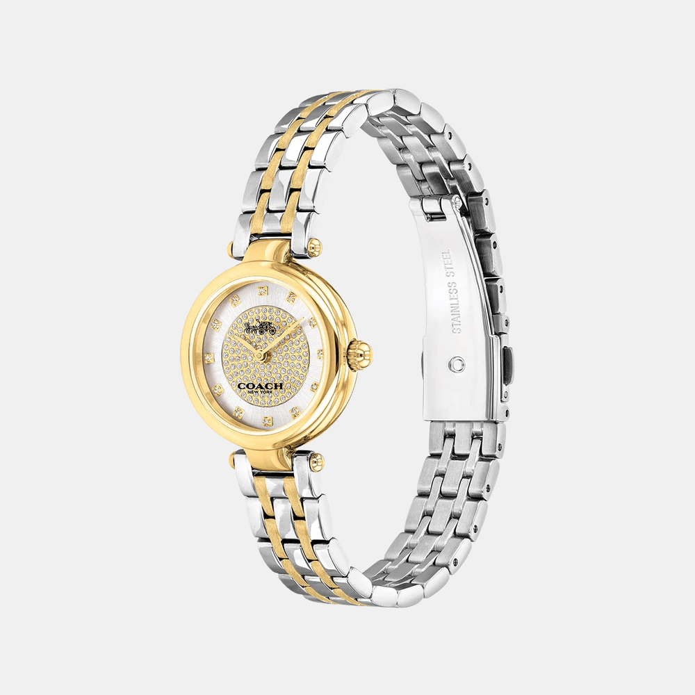 Coach Park Watch 14503643 - DIVA ONLINE STORE