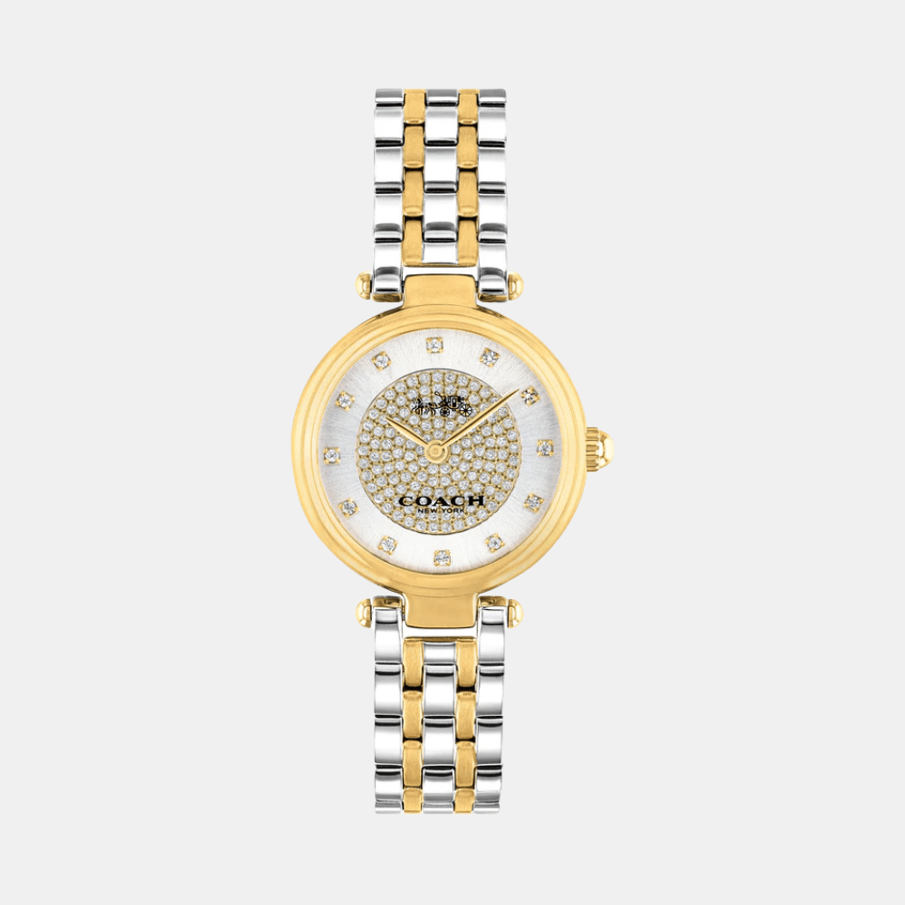 Coach Park Watch 14503643 - DIVA ONLINE STORE