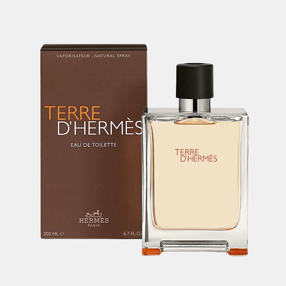 Hermès Terre d'Hermès For Men EDT 100ML - DIVA ONLINE STORE