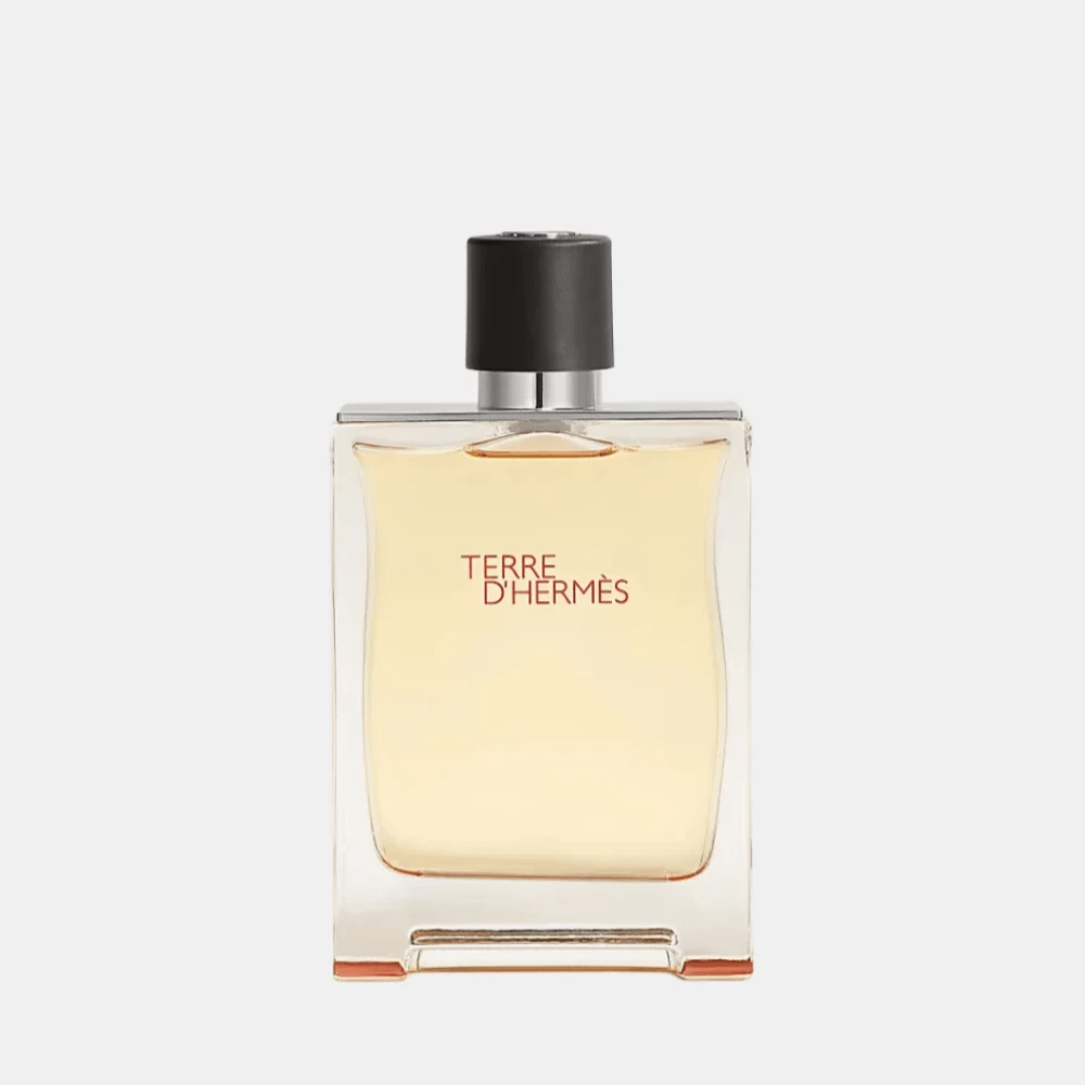 Hermès Terre d'Hermès For Men EDT 100ML - DIVA ONLINE STORE