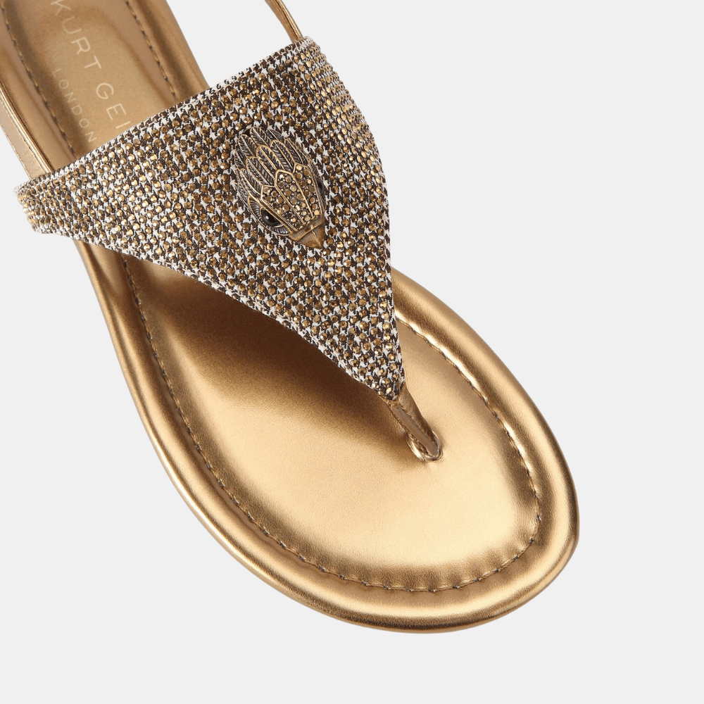 Kurt Geiger Kensington Flat Slingback - DIVA ONLINE STORE