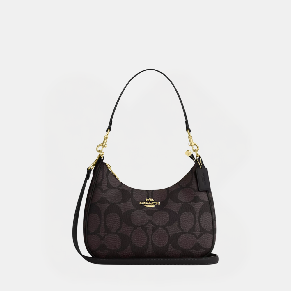 Coach Teri Hobo Bag In Blocked Signature Canvas