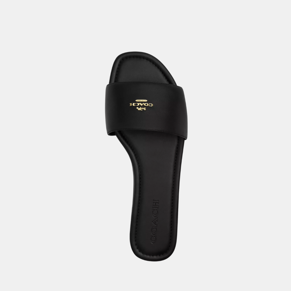 Coach Slide Sandal (Black) - DIVA ONLINE STORE