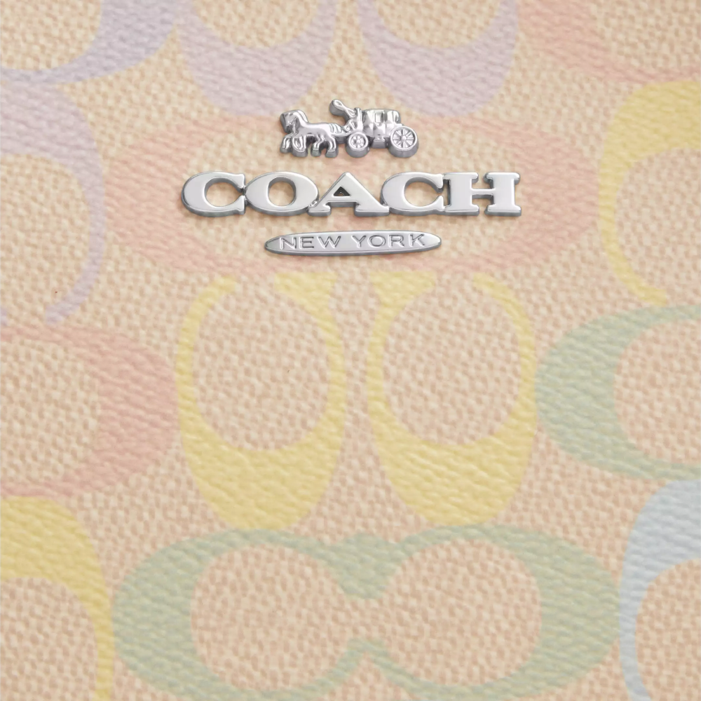 Coach Teri Shoulder Bag In Rainbow Signature Canvas