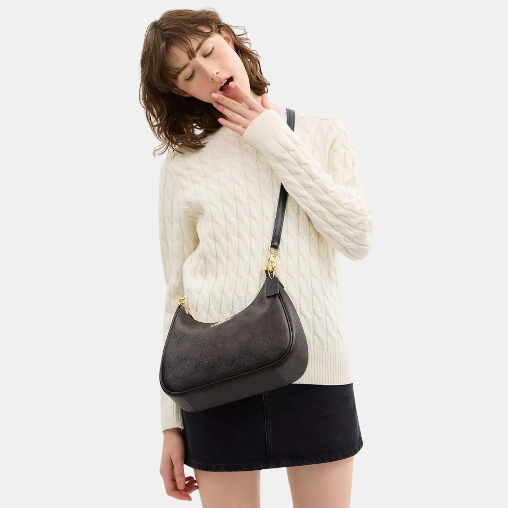 Coach Teri Hobo Bag In Blocked Signature Canvas